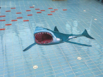 Rekin w Tropical Paradise<p>W basenie Tropical Paradise znajdziesz... Rekina w 3D! Nie przestrasz się jego ostrych zębów!<p>