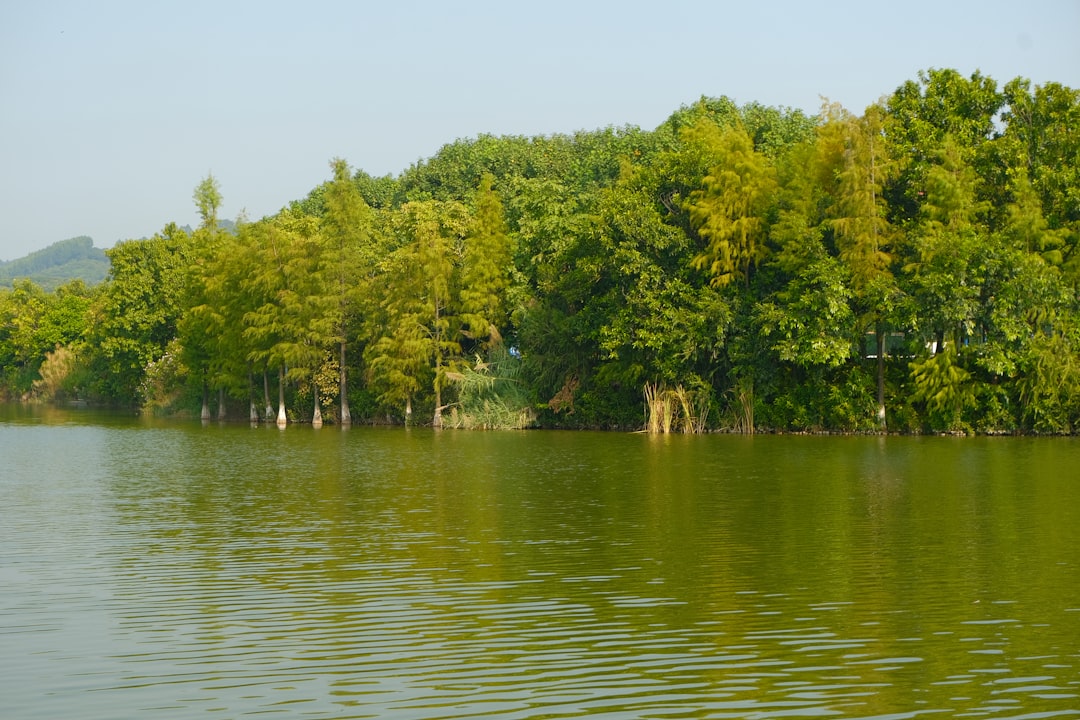 Najlepsze aquaparki w rejonie Debreczyna na Węgrzech – atrakcje na weekend