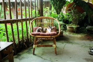 Czy można korzystać z jacuzzi z niemowlakiem? Poradnik bezpieczeństwa